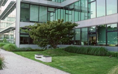 Low-Maintenance Landscaping for Commercial Properties: Cut Costs Without Cutting Corners