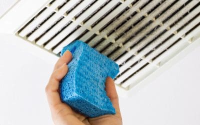 Breathe Easier: How to Improve Indoor Air Quality in Your Commercial Space