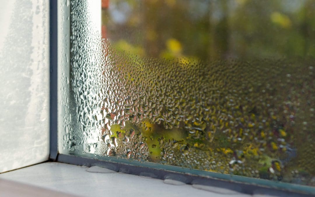 Stop the Drip: How to Prevent Condensation in Your Commercial Property