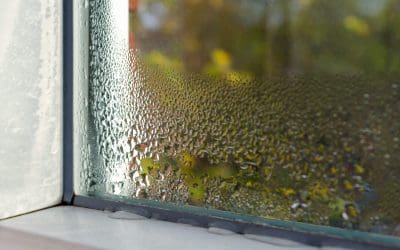 Stop the Drip: How to Prevent Condensation in Your Commercial Property